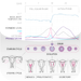 Basal Body Temperature Calculator HD